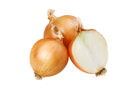 Onion